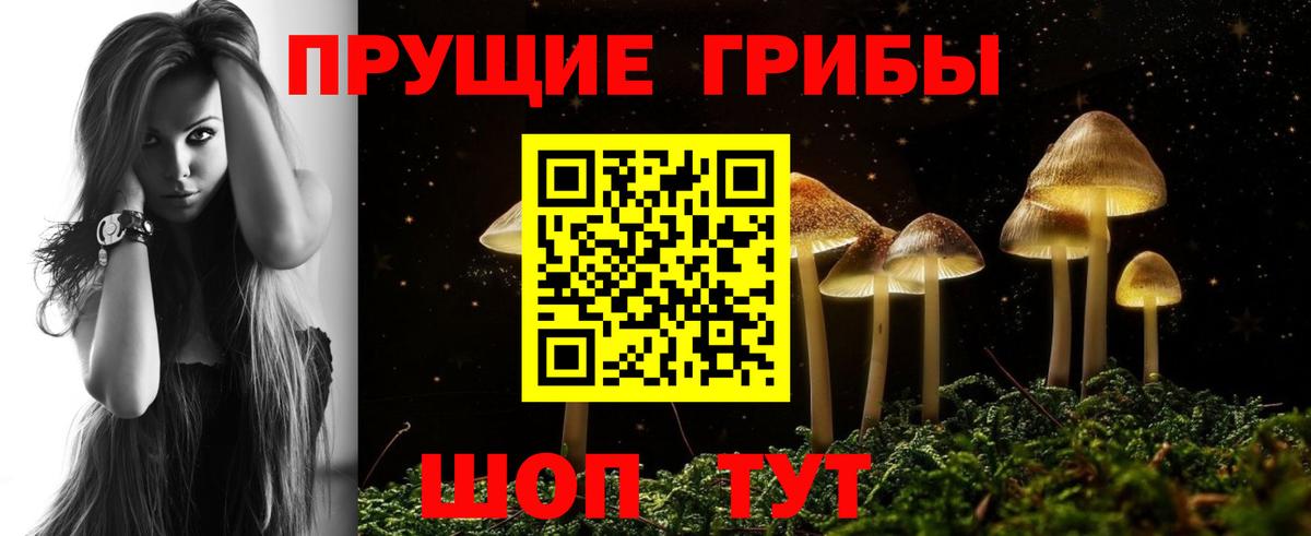 Псилоцибиновые грибы Psilocybine cubensis Качканар
